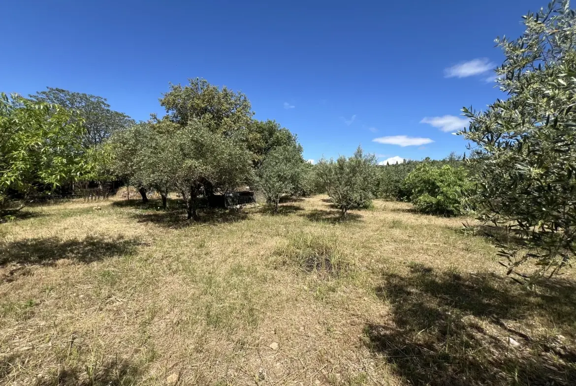 Terrain de loisir avec oliviers à vendre à Saint Jean de Fos (34150) – Vue dégagée et calme 