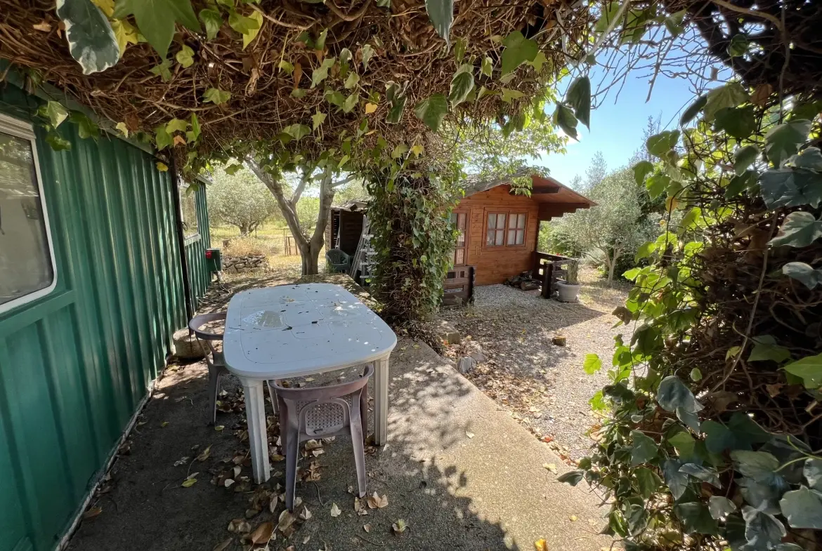 Terrain de loisir avec oliviers à vendre à Saint Jean de Fos (34150) – Vue dégagée et calme 