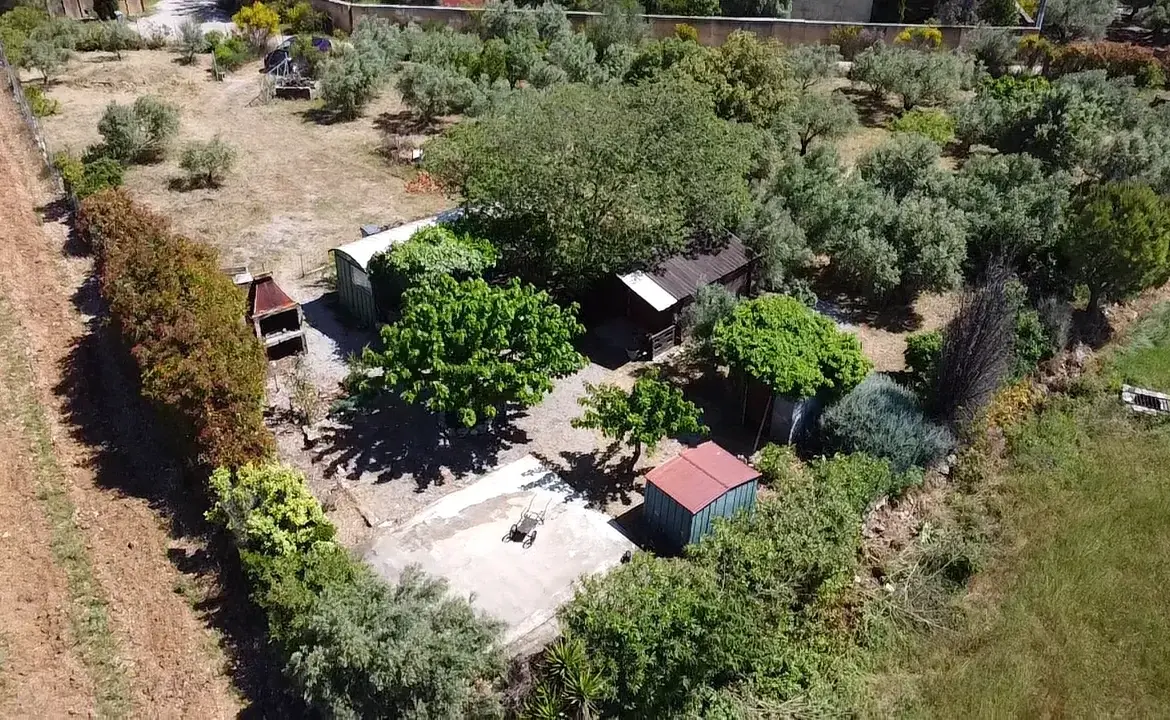 Terrain de loisir avec oliviers à vendre à Saint Jean de Fos (34150) – Vue dégagée et calme 