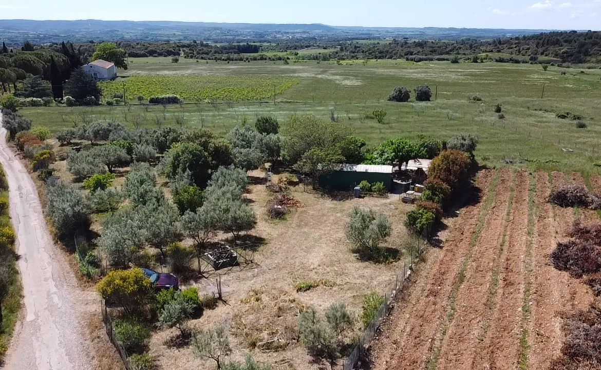 Terrain de loisir avec oliviers à vendre à Saint Jean de Fos (34150) – Vue dégagée et calme 