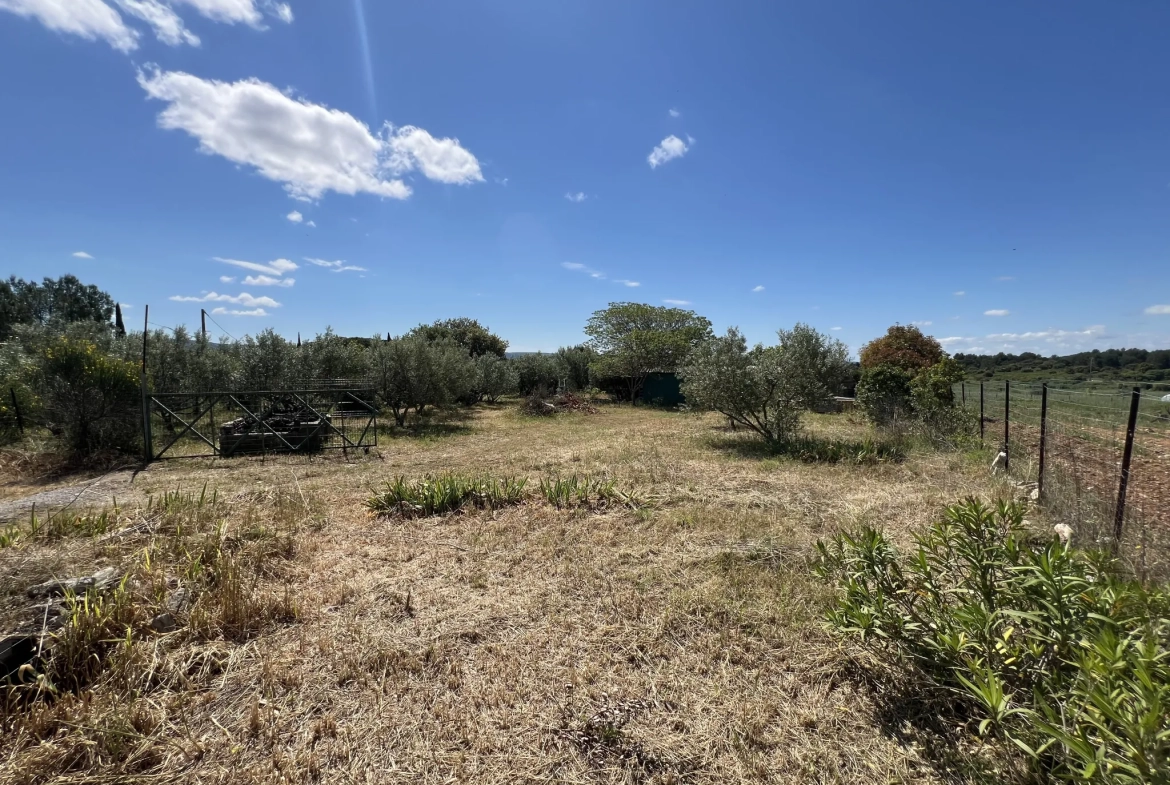 Terrain de loisir avec oliviers à vendre à Saint Jean de Fos (34150) – Vue dégagée et calme 