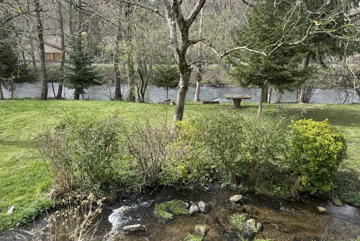 Ensemble immobilier à Massiac avec fort potentiel locatif et terrain arboré 
