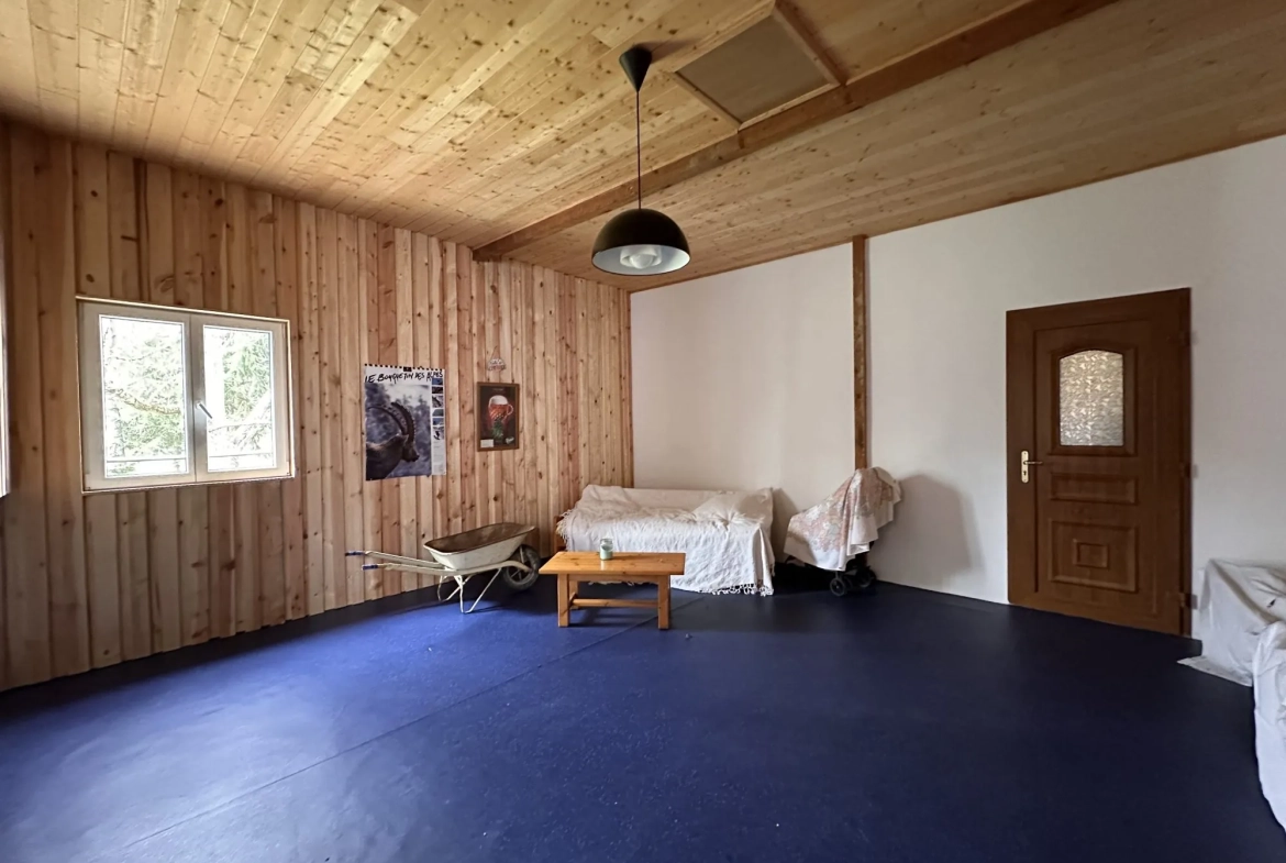 Ensemble immobilier à Massiac avec fort potentiel locatif et terrain arboré 