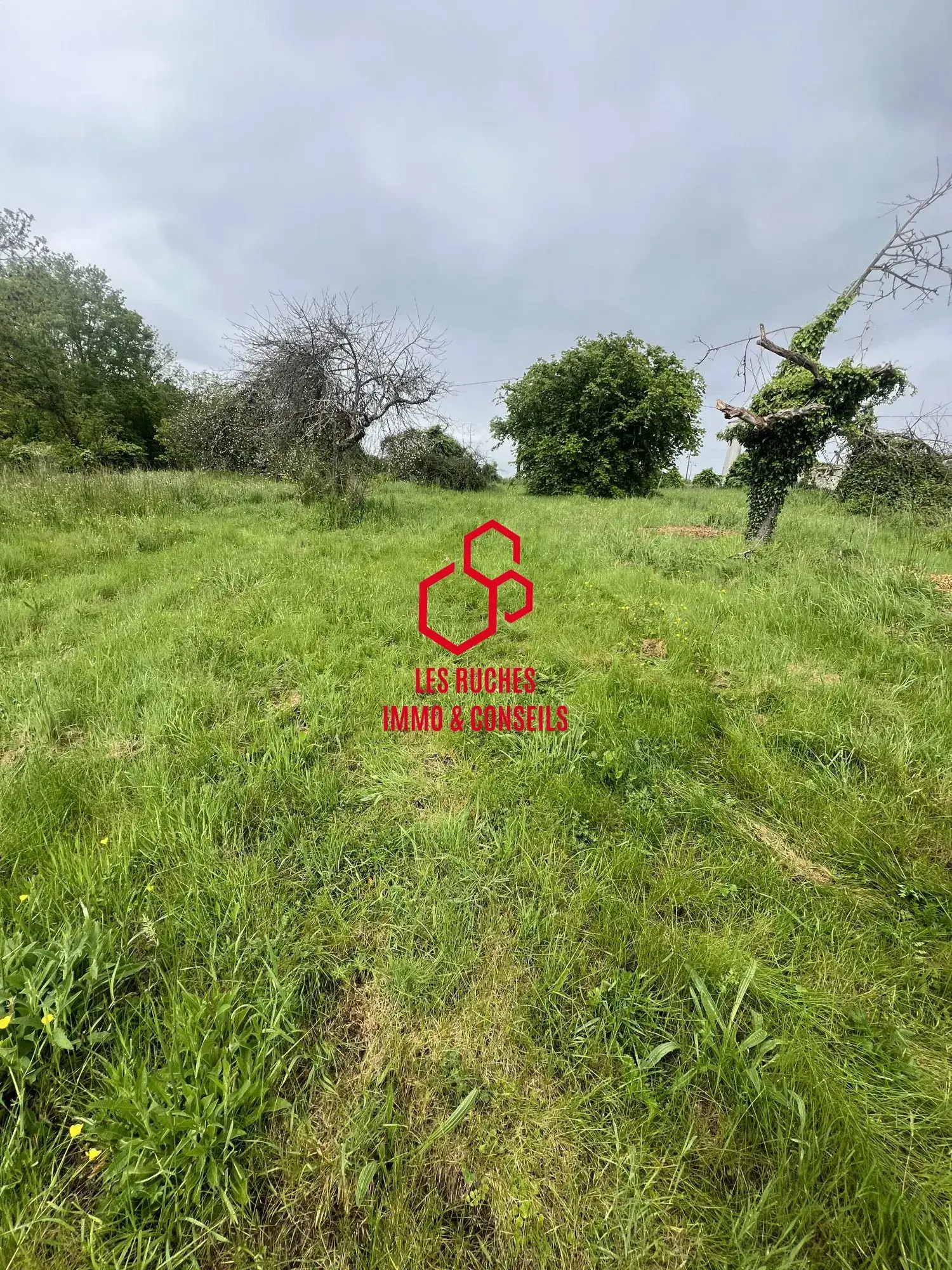 Terrain constructible de 134 m² à Varreddes près des commodités 