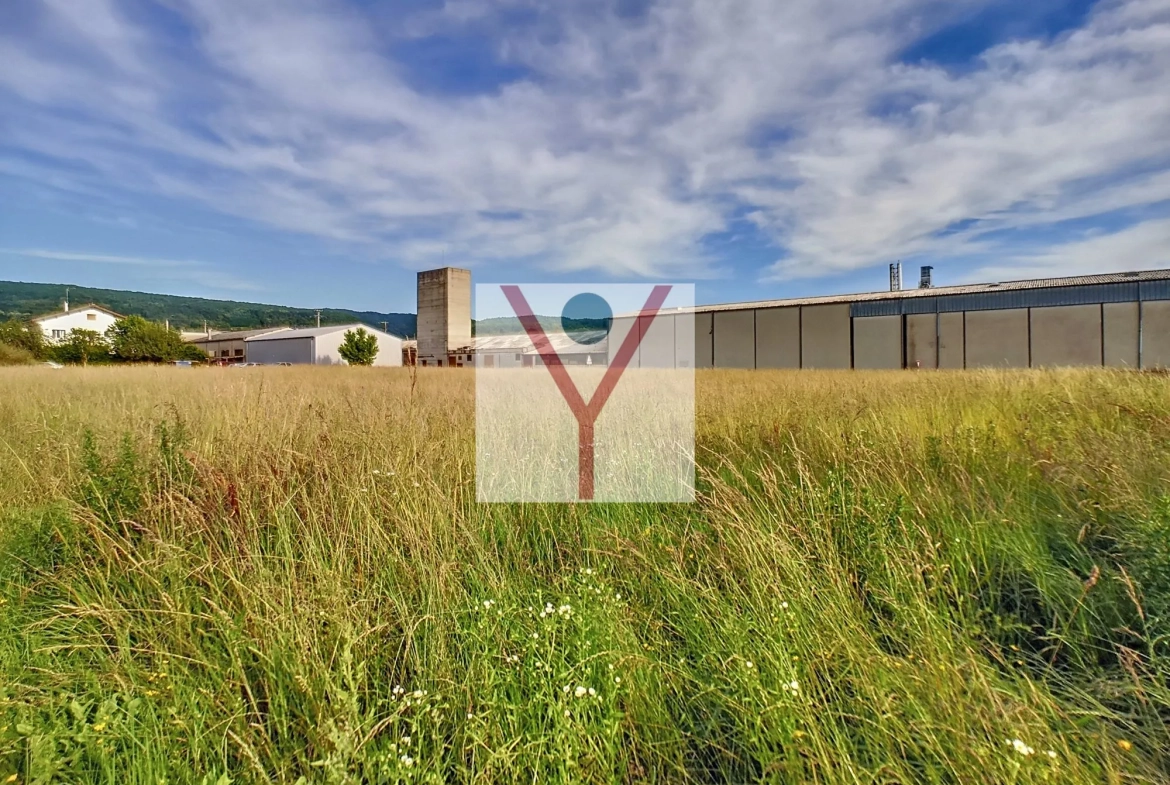 Terrains professionnels en zone UX à Saint Jean Le Vieux – Opportunité à saisir 