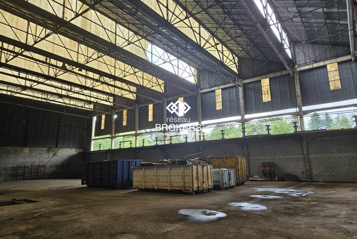Bâtiment industriel à vendre à Saint-Amour, 1905 m², opportunités professionnelles 