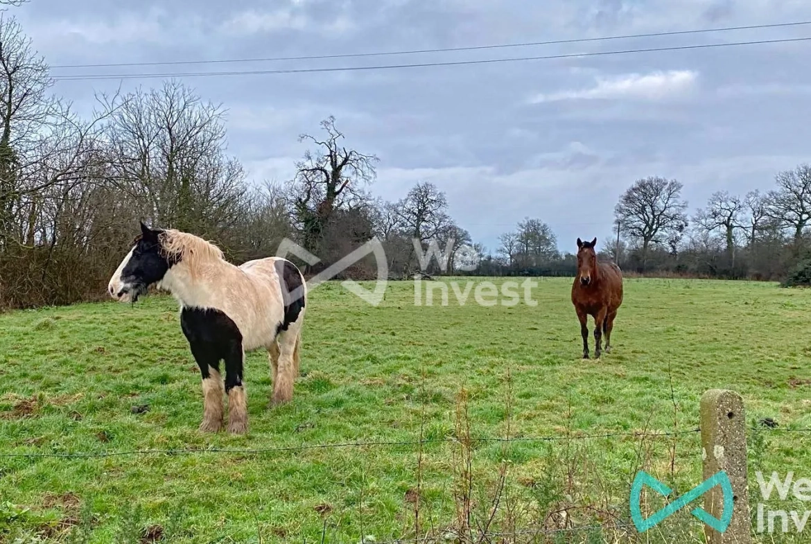 Maison de campagne à vendre à Castilly, Calvados - 81 m² au cœur de la nature 