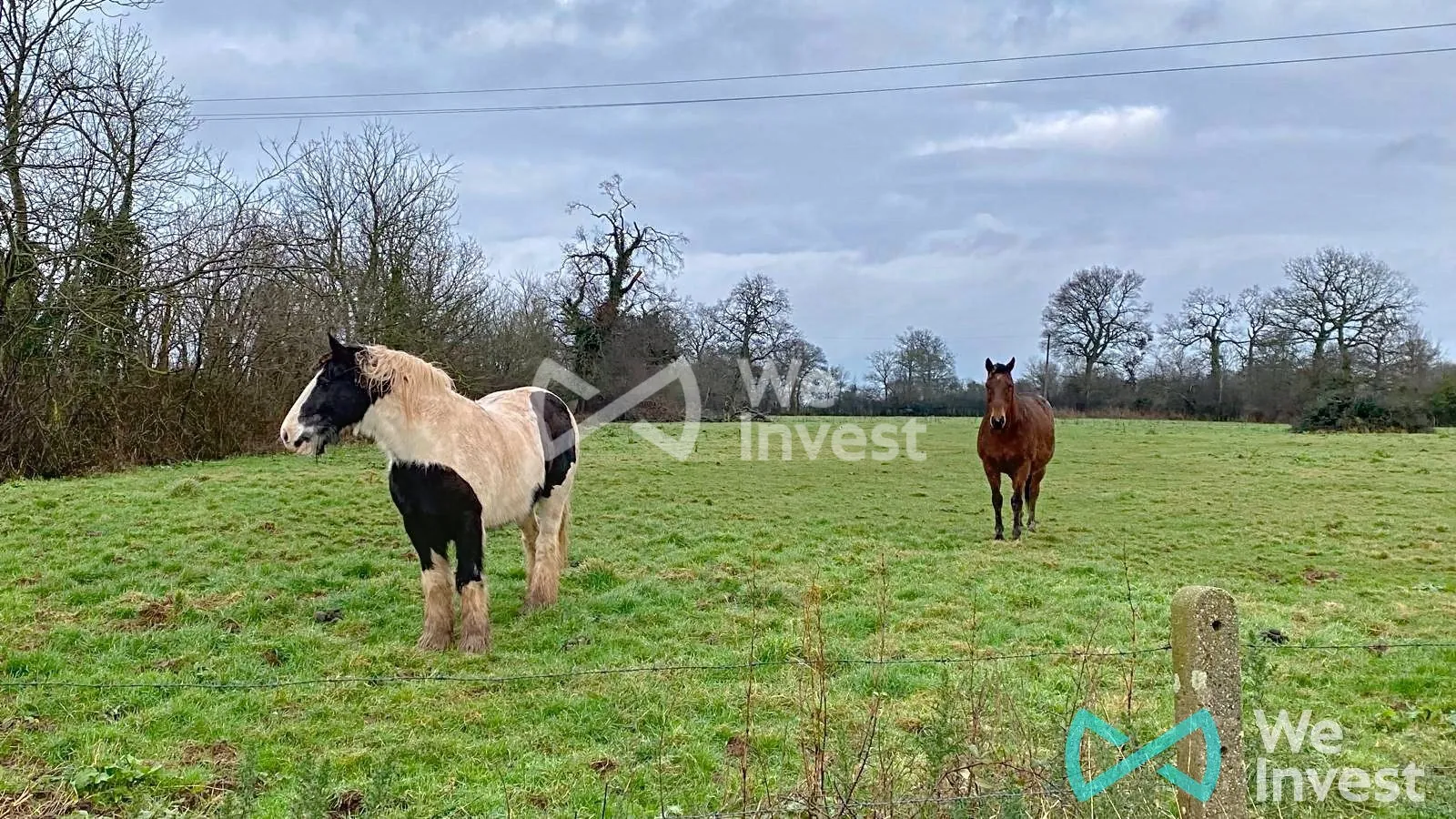 Maison de campagne à vendre à Castilly, Calvados - 81 m² au cœur de la nature 