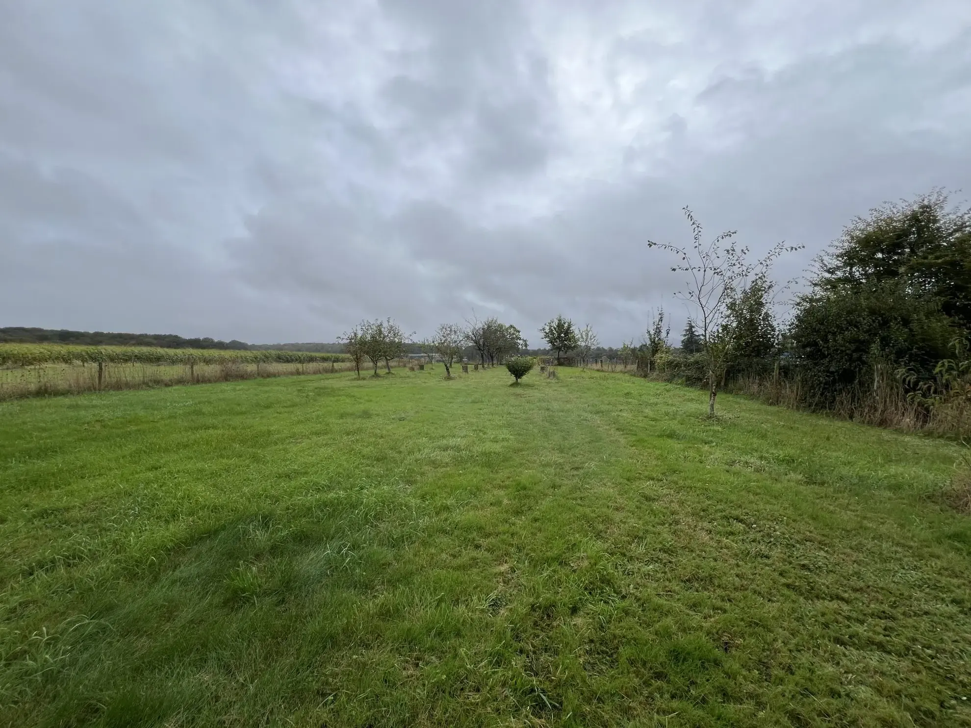 Terrain constructible plat à Nouzilly — Opportunité idéale pour votre future maison 