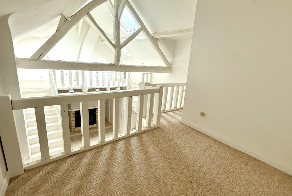 Appartement à vendre à Mezy-sur-Seine avec mezzanines et espace extérieur 