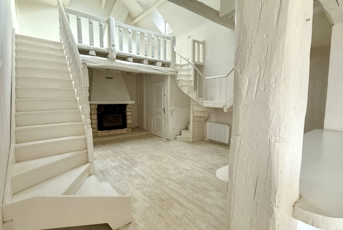 Appartement à vendre à Mezy-sur-Seine avec mezzanines et espace extérieur 