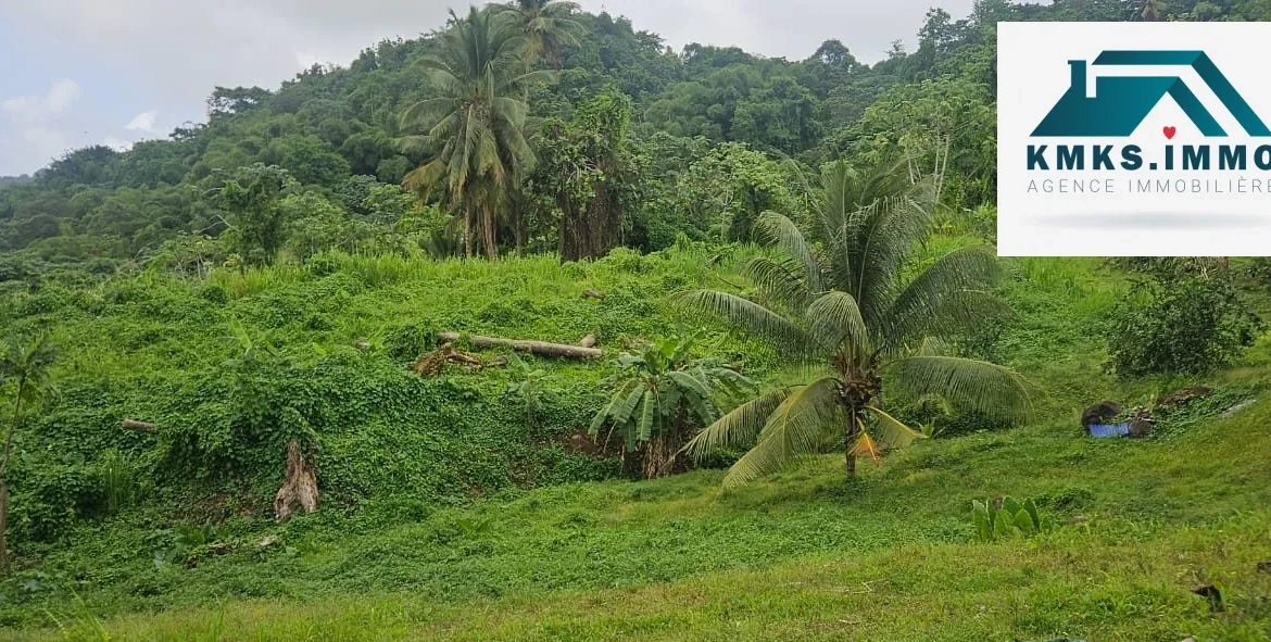 Terrain de 2 300 m² constructible à Roche Carré, Le Lamentin 