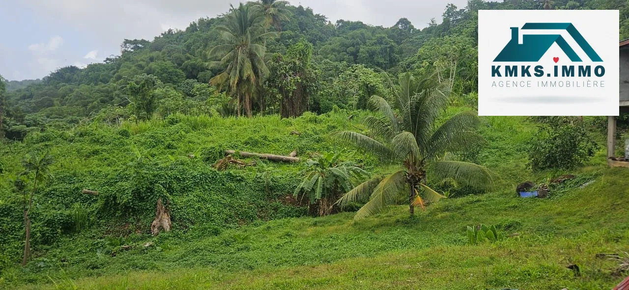 Terrain de 2 300 m² constructible à Roche Carré, Le Lamentin 