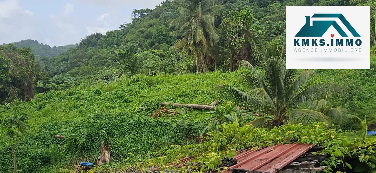 Terrain de 2 300 m² constructible à Roche Carré, Le Lamentin 