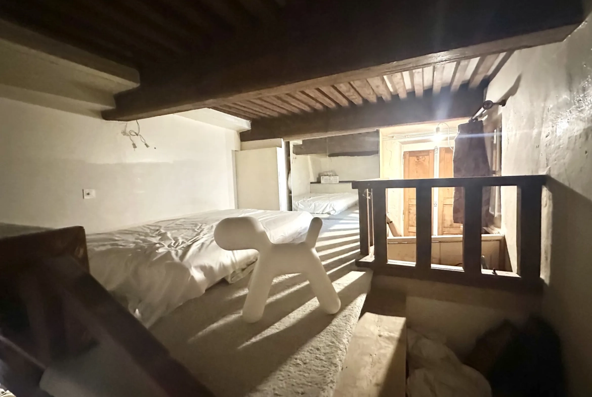 Appartement lumineux de 84,72 m² avec cave voûtée en centre-ville de Clermont-Ferrand 