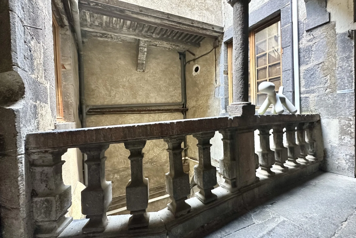 Appartement lumineux de 84,72 m² avec cave voûtée en centre-ville de Clermont-Ferrand 