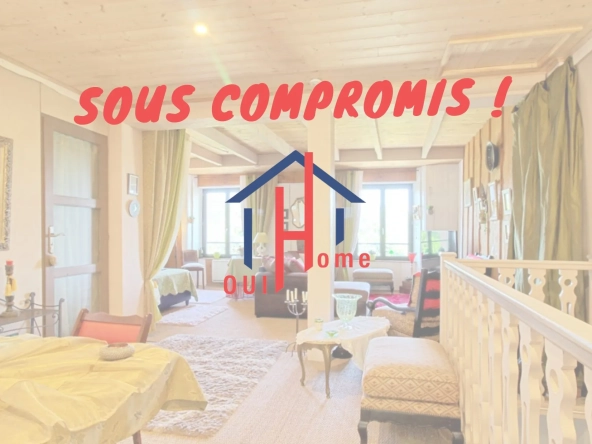 Charmante maison de bourg avec garage et extérieur au Monastier sur Gazeille