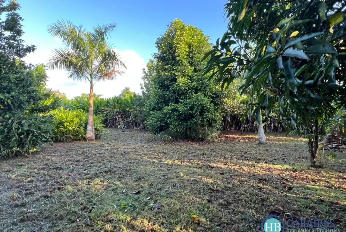 Terrain constructible de 1150 m² à Las Terrenas, vue dégagée et proximité mer 