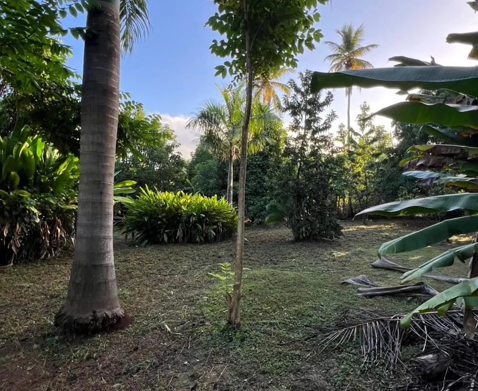 Terrain constructible de 1150 m² à Las Terrenas, vue dégagée et proximité mer 