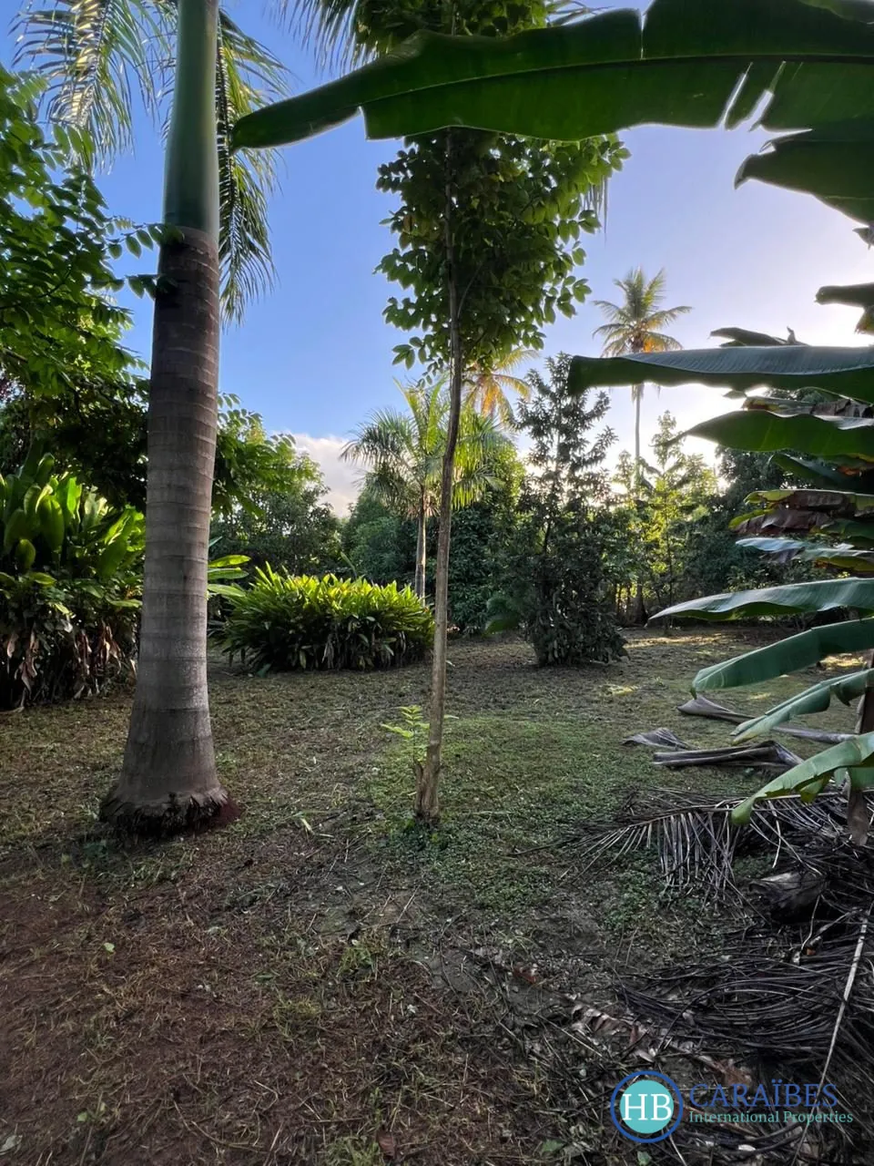 Terrain constructible de 1150 m² à Las Terrenas, vue dégagée et proximité mer 