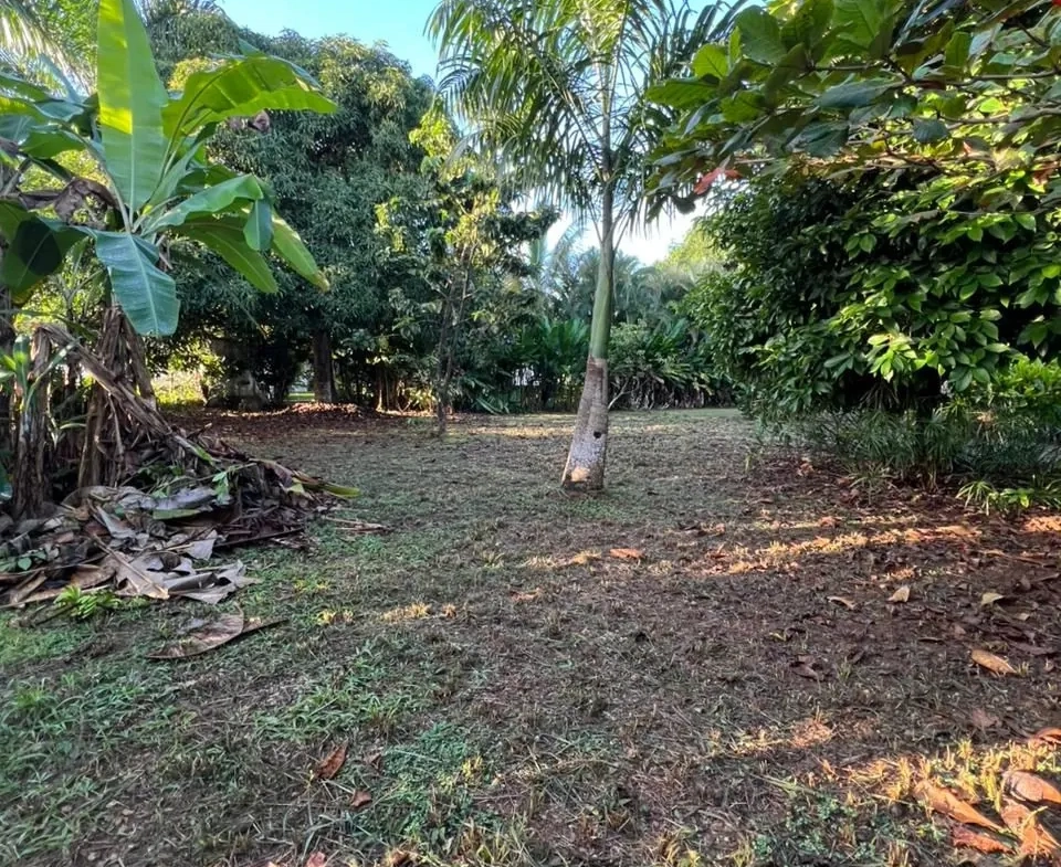 Terrain constructible de 1150 m² à Las Terrenas, vue dégagée et proximité mer 