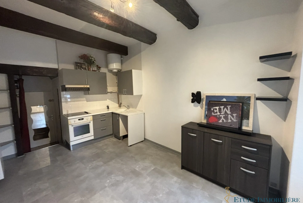 Studio à vendre à Clermont l'Hérault - 17 m² parfait état 