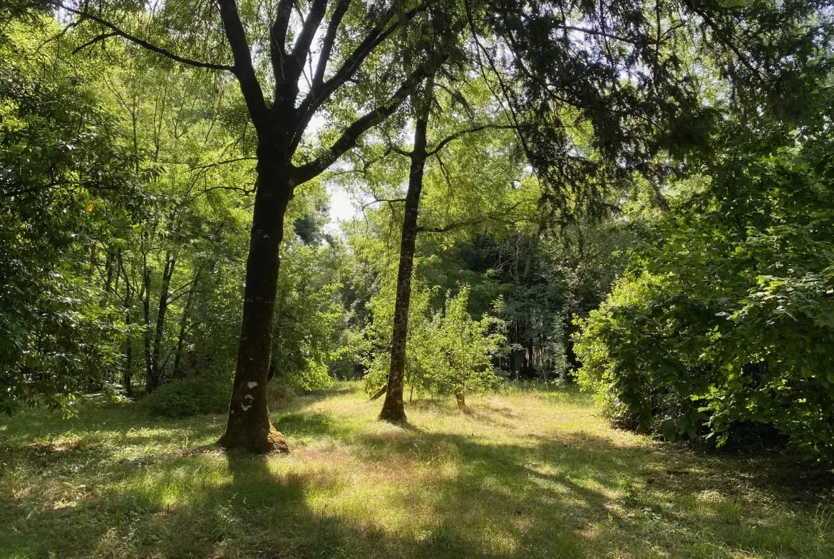 Ancien corps de ferme rénové à Verteillac avec terrain de 9775 m² 