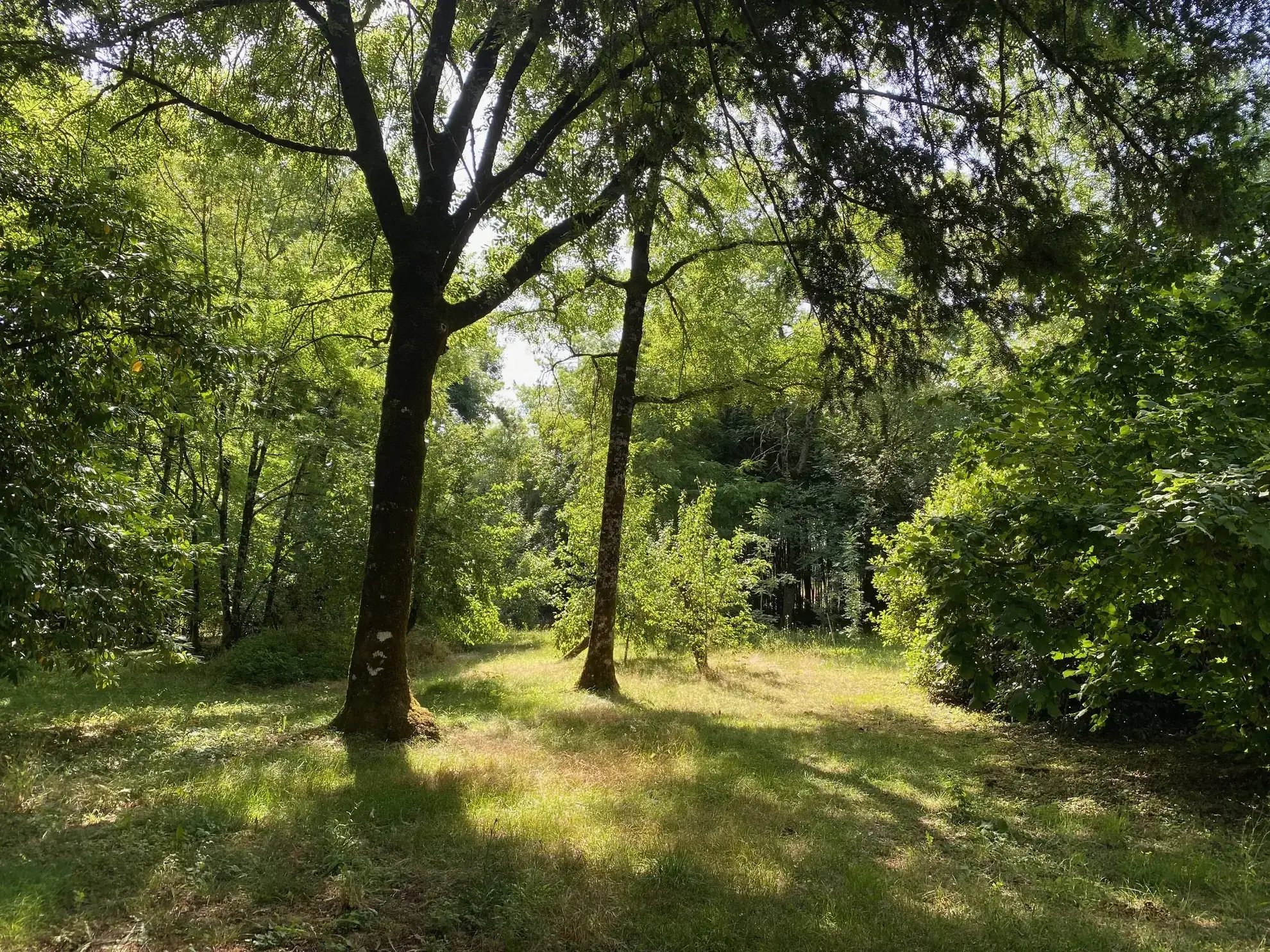 Ancien corps de ferme rénové à Verteillac avec terrain de 9775 m² 