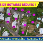 Terrain Viabilisé à La Montagne avec Frais de Notaire Réduits