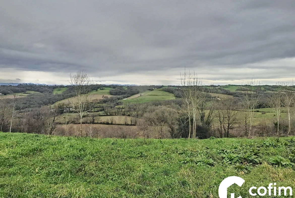 Terrain à vendre à Lagor : 7 335 m² avec vue montagne, divisible et proche commodités 