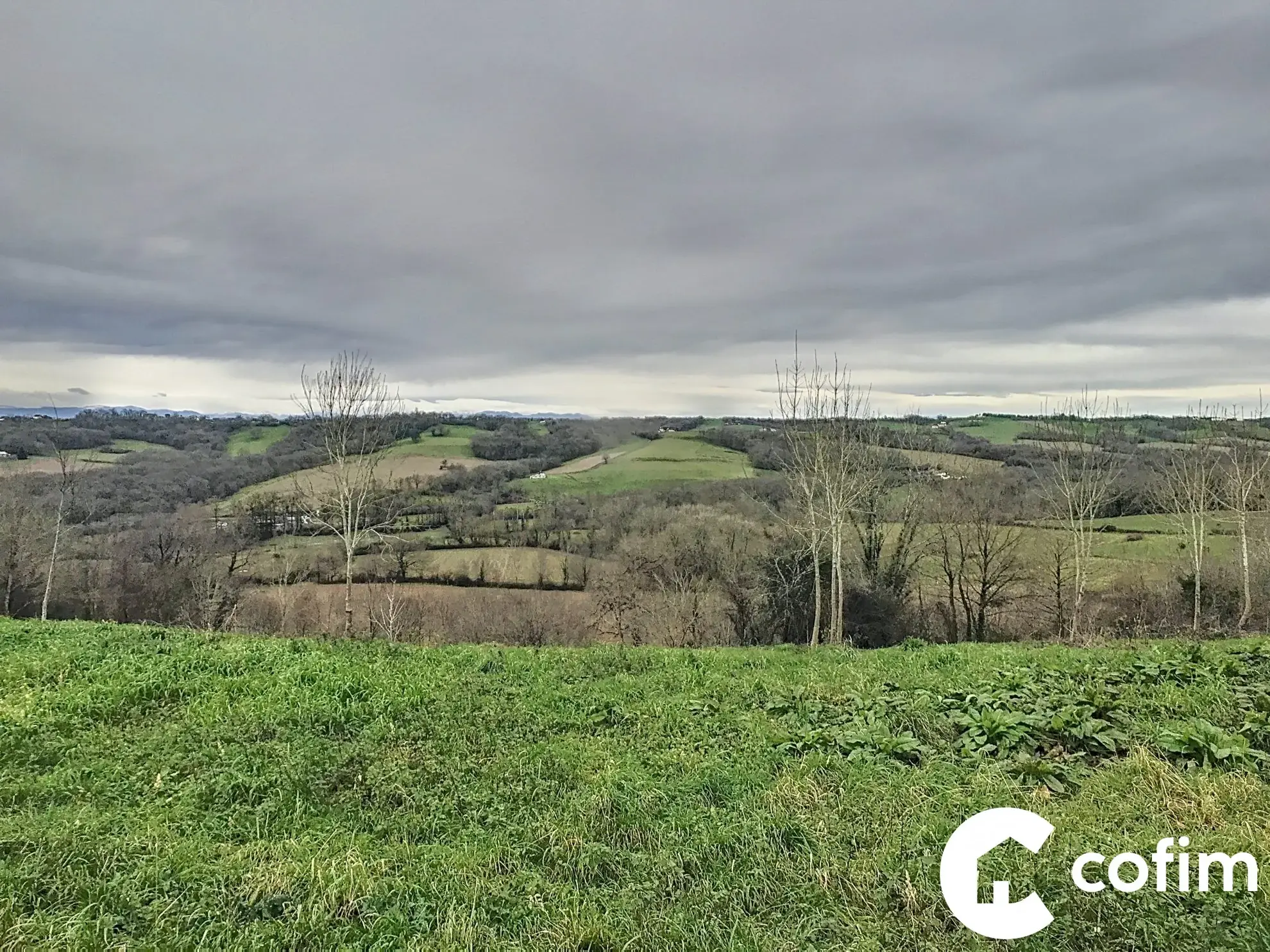 Terrain à vendre à Lagor : 7 335 m² avec vue montagne, divisible et proche commodités 