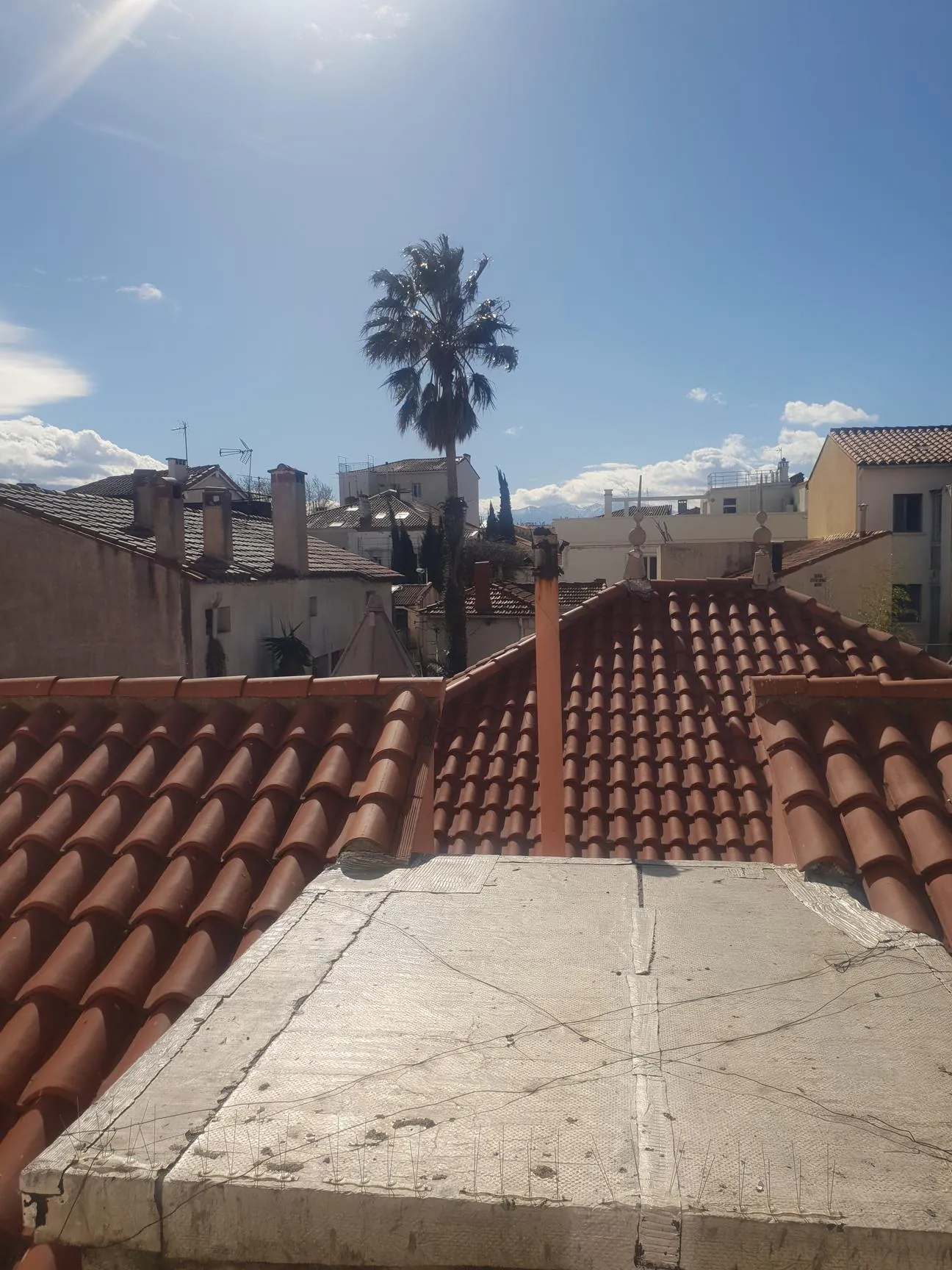 Appartement rénové de 34 m² à Perpignan, secteur Lycée Arago/Gare 