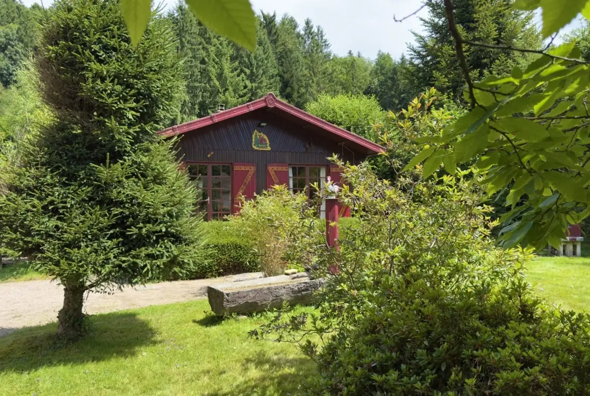 Vente chalet avec étang privé et terrain à Ban-sur-Meurthe-Clefcy 