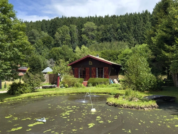 Vente chalet avec étang privé et terrain à Ban-sur-Meurthe-Clefcy