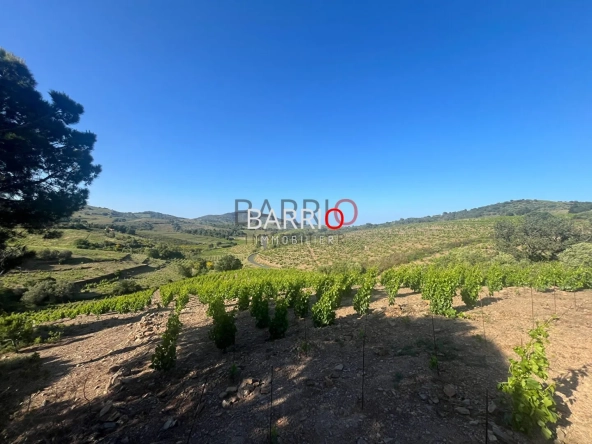 Terrain de 2000 m² entre terre et mer à Port-Vendres pour investir ou construire