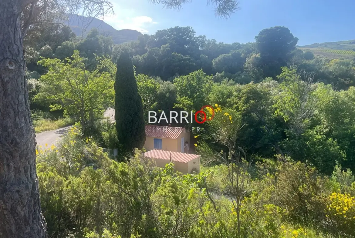 Terrain de 2000 m² entre terre et mer à Port-Vendres pour investir ou construire 