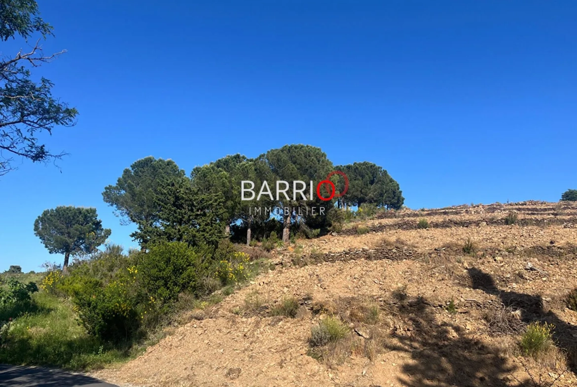 Terrain de 2000 m² entre terre et mer à Port-Vendres pour investir ou construire 