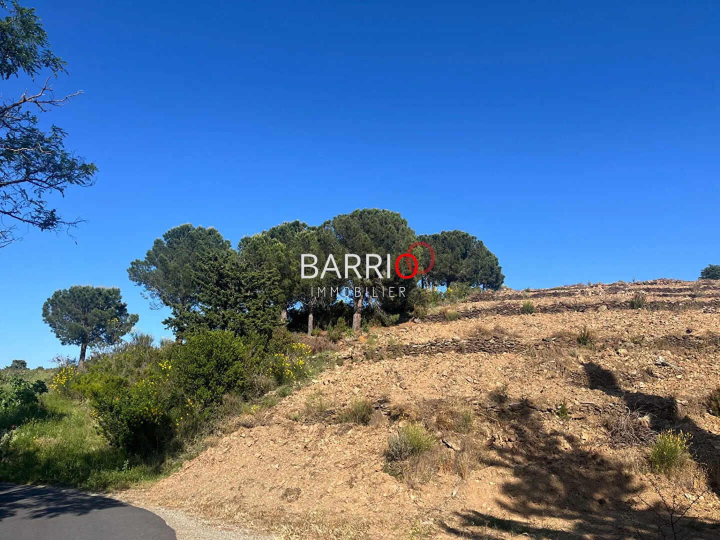 Terrain de 2000 m² entre terre et mer à Port-Vendres pour investir ou construire 