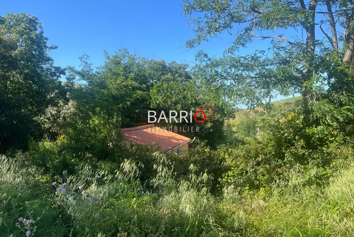 Terrain de 2000 m² entre terre et mer à Port-Vendres pour investir ou construire 