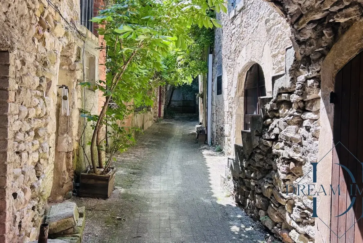Charmante maison de village en pierre avec dépendances à Allegre-les-Fumades 