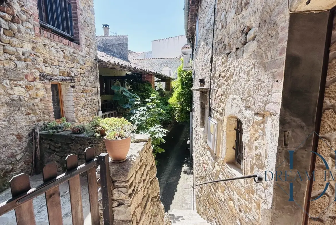 Charmante maison de village en pierre avec dépendances à Allegre-les-Fumades 