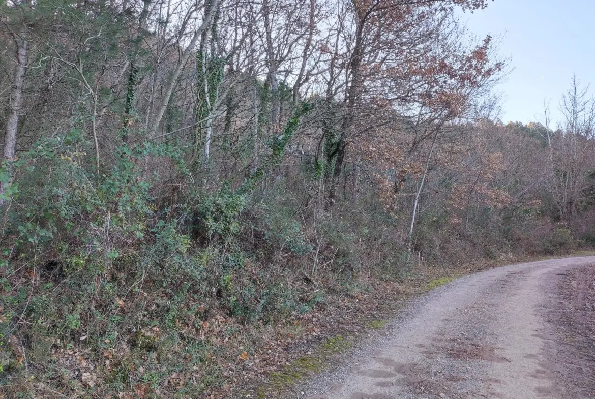 A vendre ensemble de 3 parcelles boisées à Saint-Étienne-de-Gourgas 