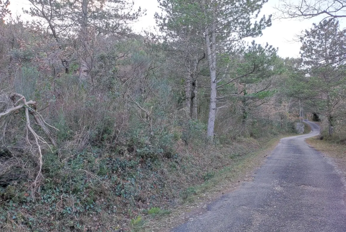 A vendre ensemble de 3 parcelles boisées à Saint-Étienne-de-Gourgas 