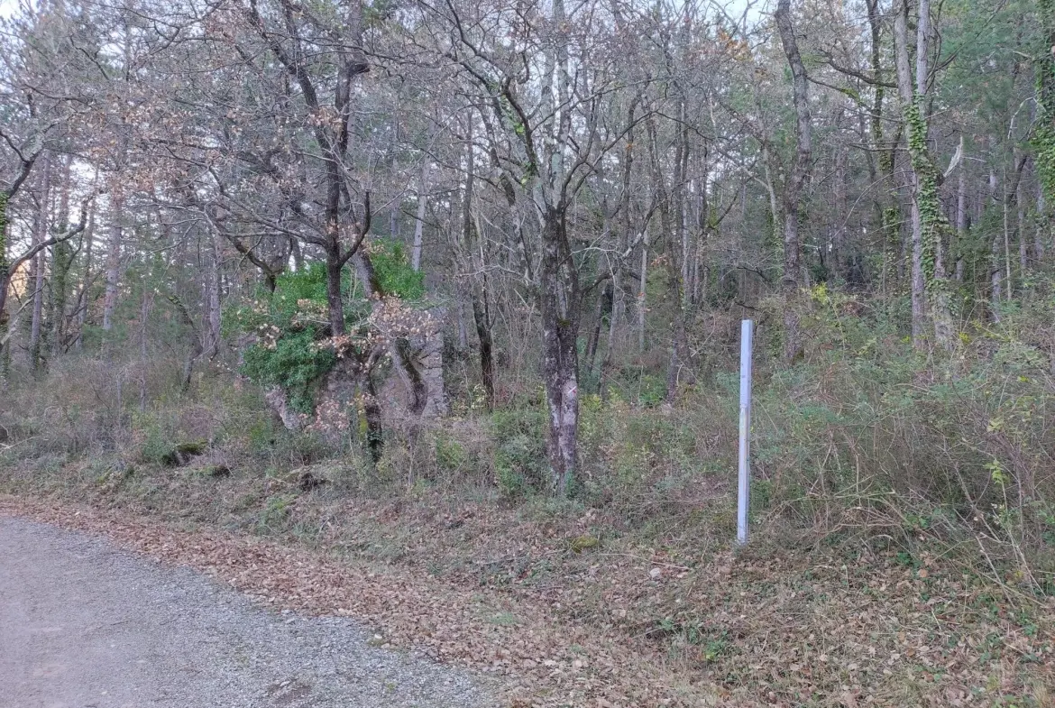 A vendre ensemble de 3 parcelles boisées à Saint-Étienne-de-Gourgas 