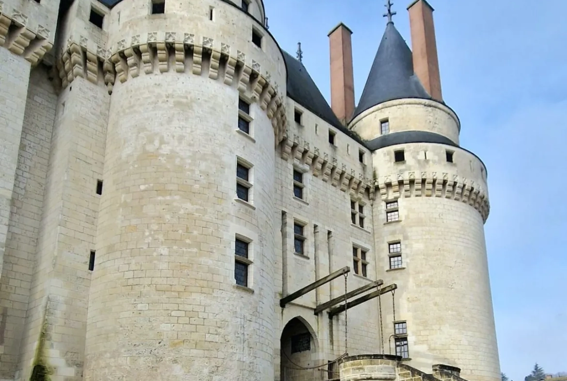Fonds de commerce de 90 m² à Langeais, idéal pour la restauration avec terrasse 