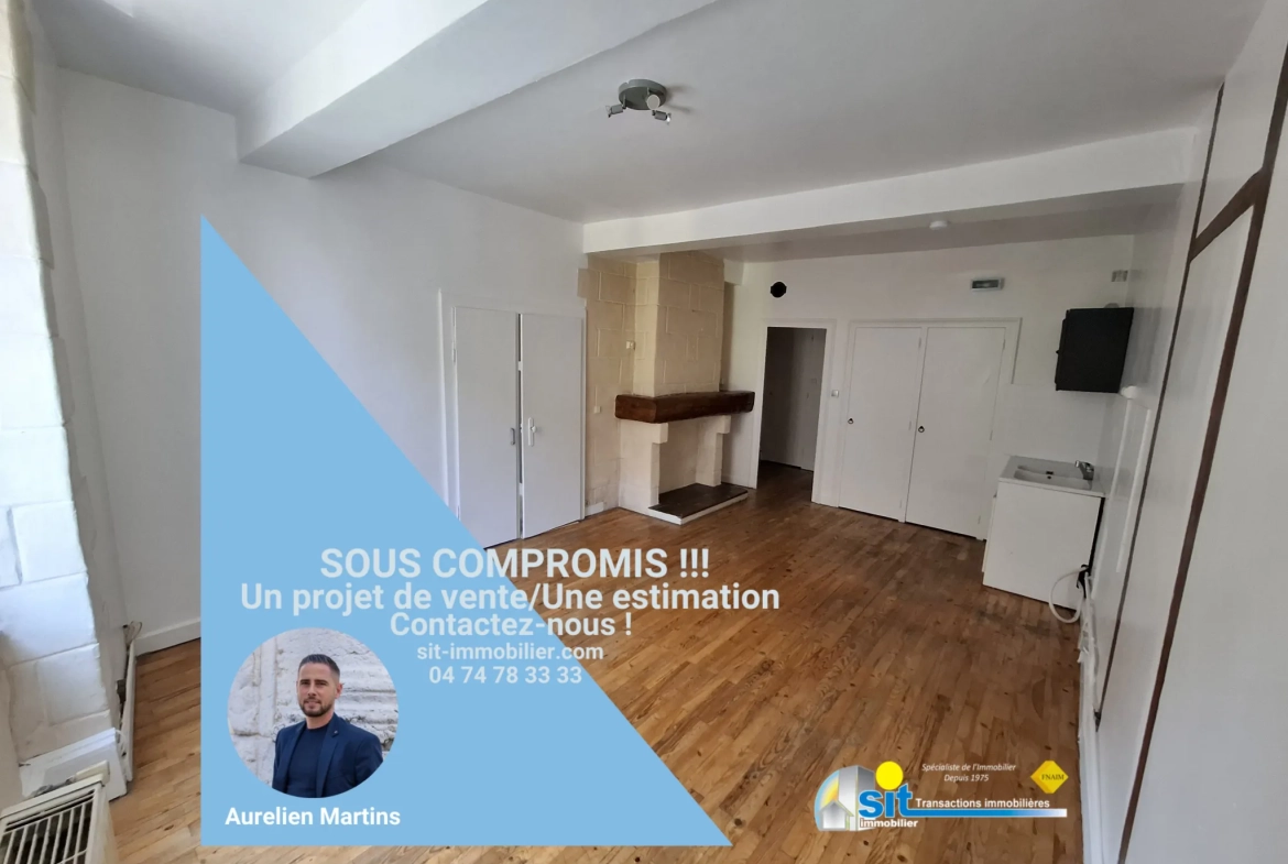 Appartement T2 de 39 m² à Vienne Centre, proche gare et transports 