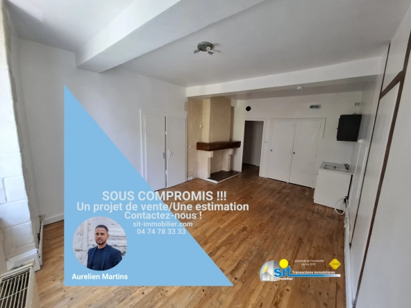 Appartement T2 de 39 m² à Vienne Centre, proche gare et transports