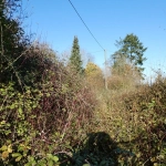 Terrain à vendre à Neuville-sur-Touques de 1 444 m² avec risque disponible