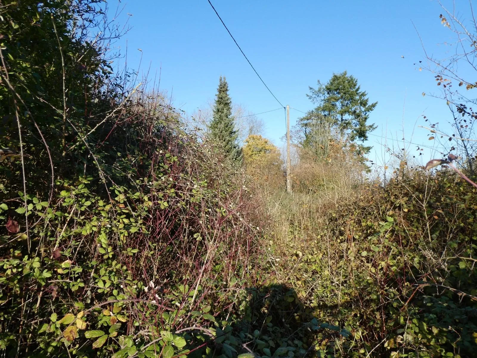 Terrain à vendre à Neuville-sur-Touques de 1 444 m² avec risque disponible 