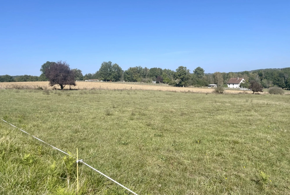 Terrain à vendre à Thiviers de 1700 m², proche centre-ville et commodités 